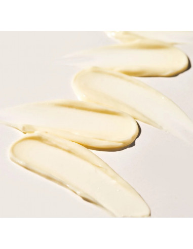 Image Skincare Ageless+ Retinol Treatment Creme 1.2% Retinol Complex 50g zaawansowany krem z retinolem i bakuchiolem